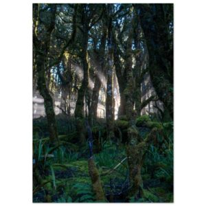 2220266e-c664-4d68-bccb-afd2c2b52a3c