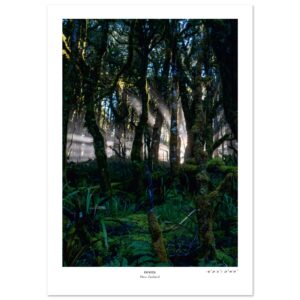 fe4484d1-8b5a-464b-a813-c3ecaa23320c